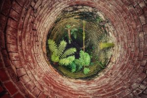 Dags att göra en ny brunn